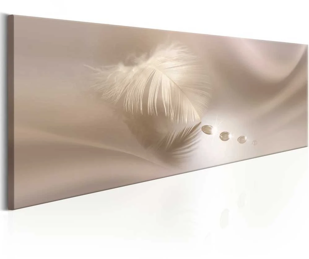Artgeist Paveikslas - Delicate Feather