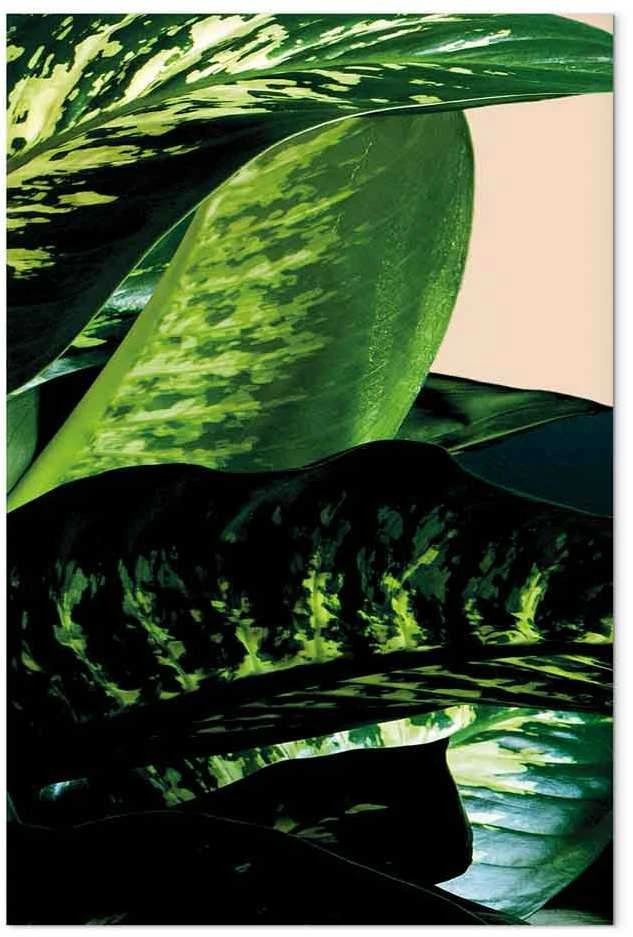 Artgeist Paveikslas - Dieffenbachia (1 Part) Vertical