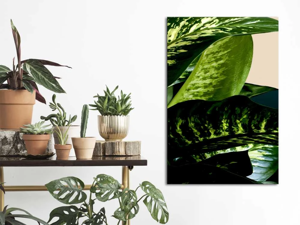 Artgeist Paveikslas - Dieffenbachia (1 Part) Vertical