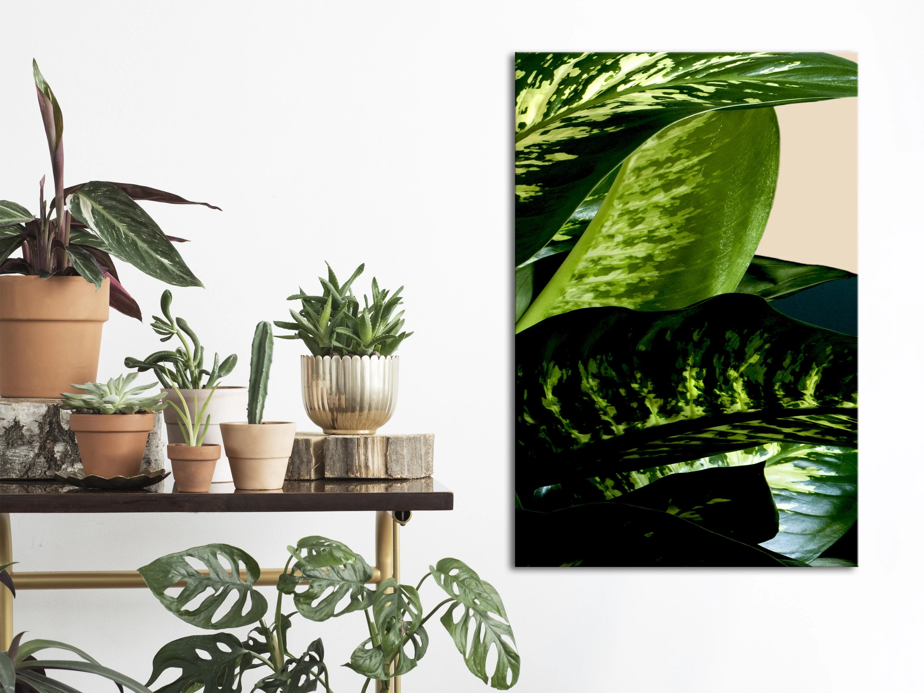 Artgeist Paveikslas - Dieffenbachia (1 Part) Vertical