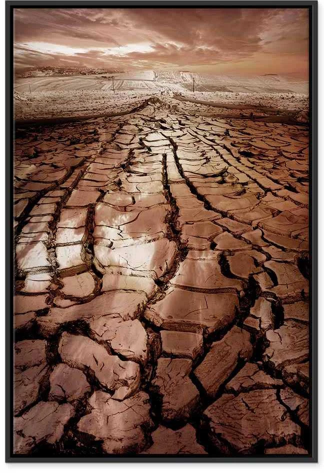 Artgeist Paveikslas - Drought (1 Part) Vertical