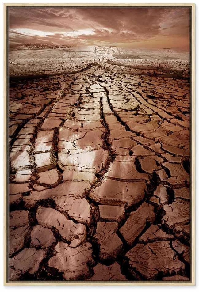 Artgeist Paveikslas - Drought (1 Part) Vertical