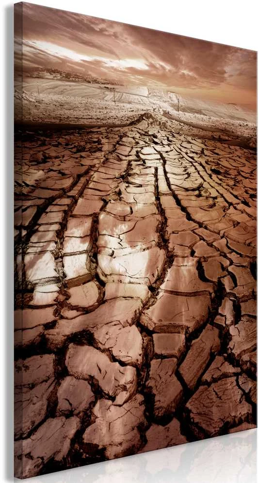 Artgeist Paveikslas - Drought (1 Part) Vertical