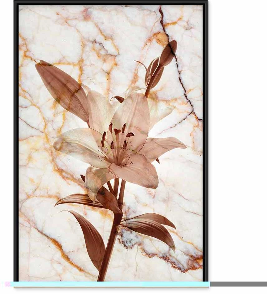 Artgeist Paveikslas - Elegance of a Flower (1-part) - Delicate Lily on Marble in Sepia