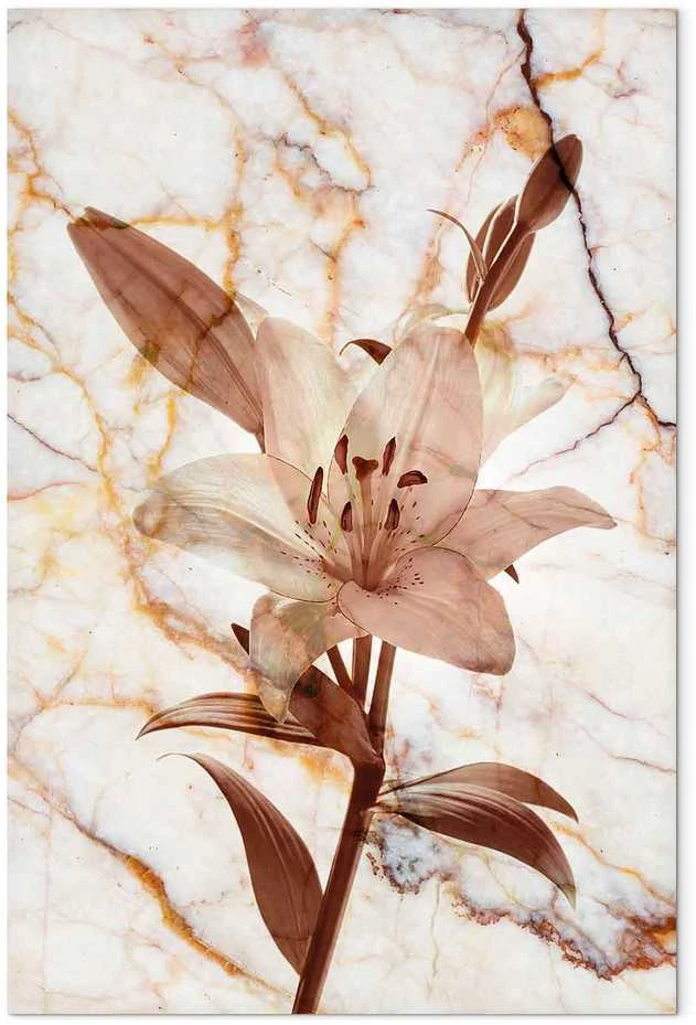 Artgeist Paveikslas - Elegance of a Flower (1-part) - Delicate Lily on Marble in Sepia