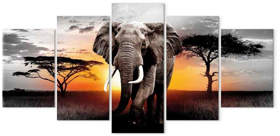 Artgeist Paveikslas - Elephant at Sunset