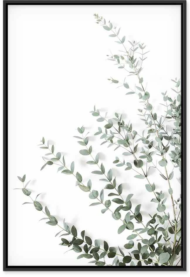 Artgeist Paveikslas - Eucalyptus Parvifolia (1 Part) Vertical