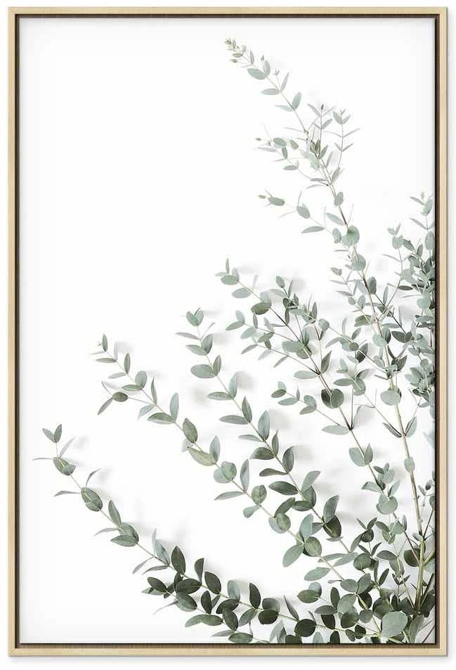 Artgeist Paveikslas - Eucalyptus Parvifolia (1 Part) Vertical