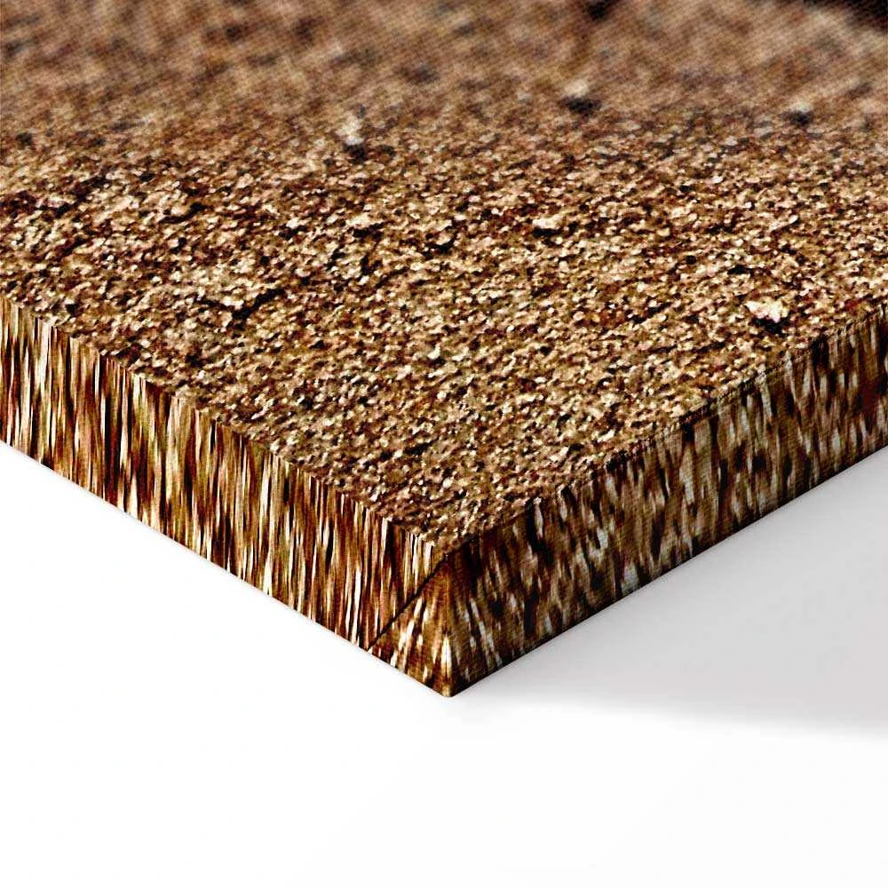 Artgeist Paveikslas - Feather on the Sand (1 Part) Vertical
