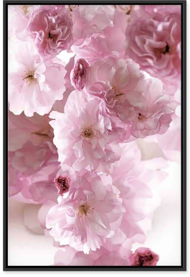 Artgeist Paveikslas - Flowery Glamour (1-part) - Flower Petals in Shades of Rožinė