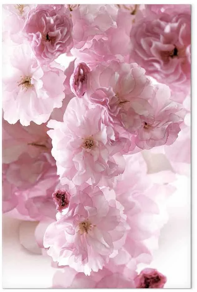 Artgeist Paveikslas - Flowery Glamour (1-part) - Flower Petals in Shades of Rožinė