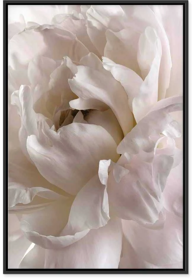 Artgeist Paveikslas - Fluffy Distraction (1 Part) Vertical