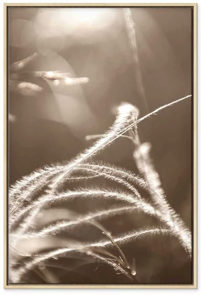 Artgeist Paveikslas - Fluffy Grass (1 Part) Vertical