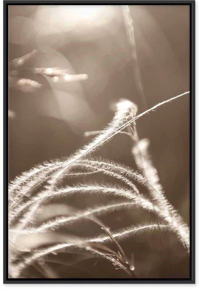 Artgeist Paveikslas - Fluffy Grass (1 Part) Vertical