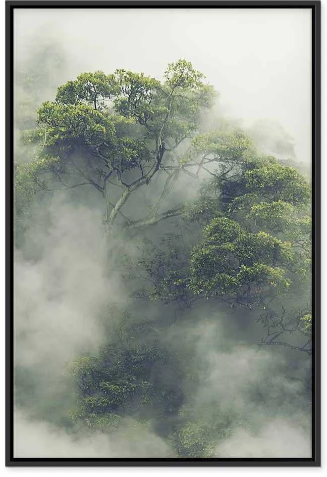 Artgeist Paveikslas - Foggy Amazon (1 Part) Vertical