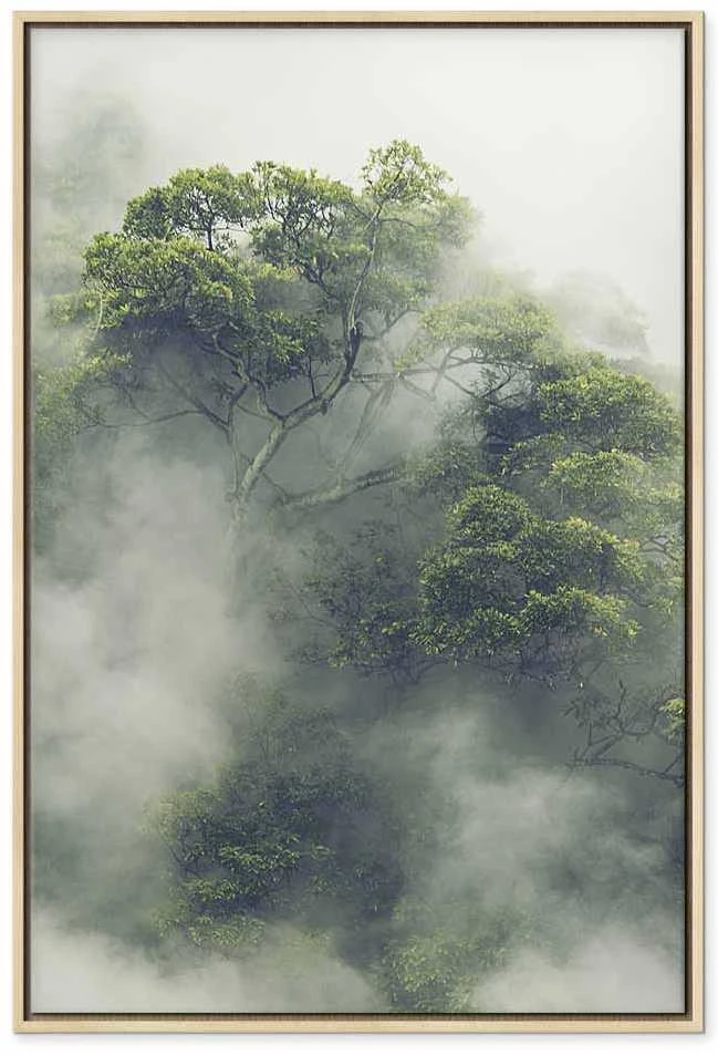 Artgeist Paveikslas - Foggy Amazon (1 Part) Vertical