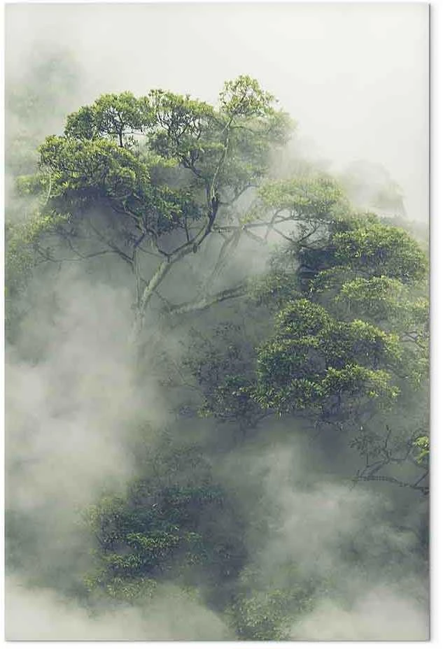 Artgeist Paveikslas - Foggy Amazon (1 Part) Vertical