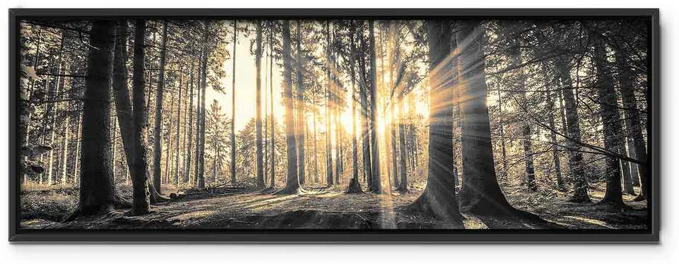 Artgeist Paveikslas - Forest Sun