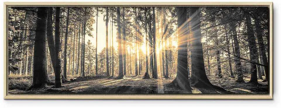 Artgeist Paveikslas - Forest Sun