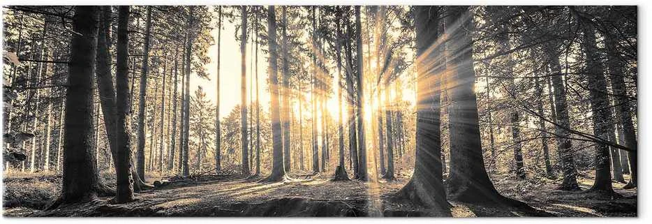 Artgeist Paveikslas - Forest Sun