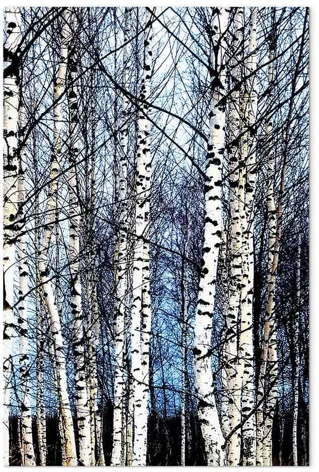 Artgeist Paveikslas - Frosty January (1 Part) Vertical