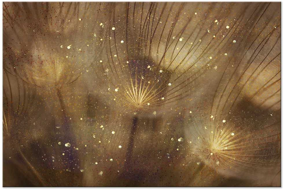 Artgeist Paveikslas - Golden Dandelions (1 Part) Wide