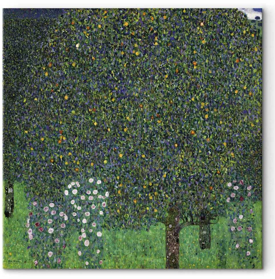 Artgeist Paveikslas - Gustav Klimt – Roses Among the Trees