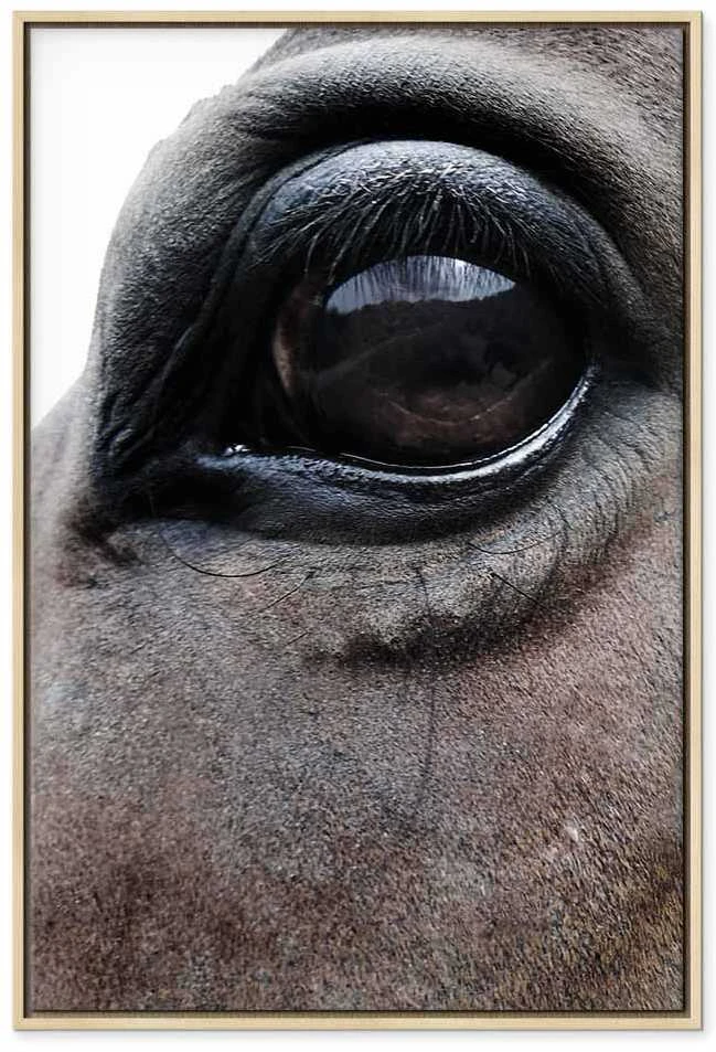 Artgeist Paveikslas - Honest Eyes (1 Part) Vertical