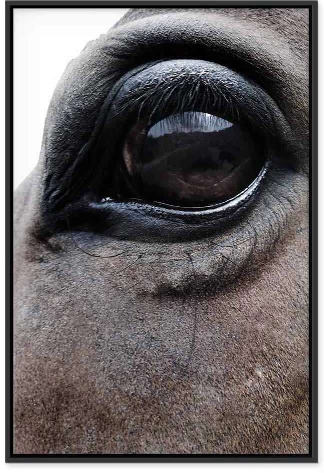 Artgeist Paveikslas - Honest Eyes (1 Part) Vertical