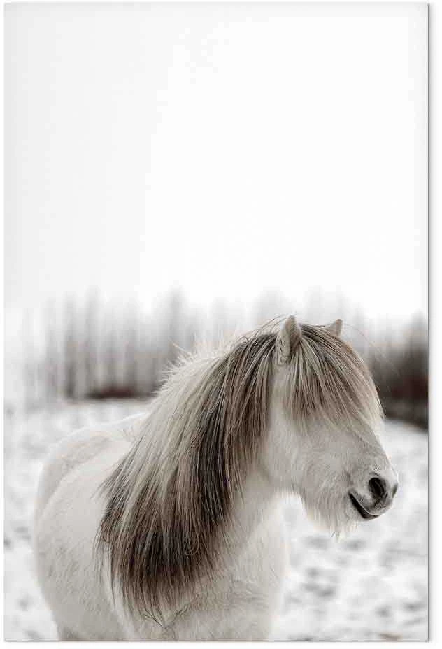 Artgeist Paveikslas - Horse Mane (1 Part) Vertical