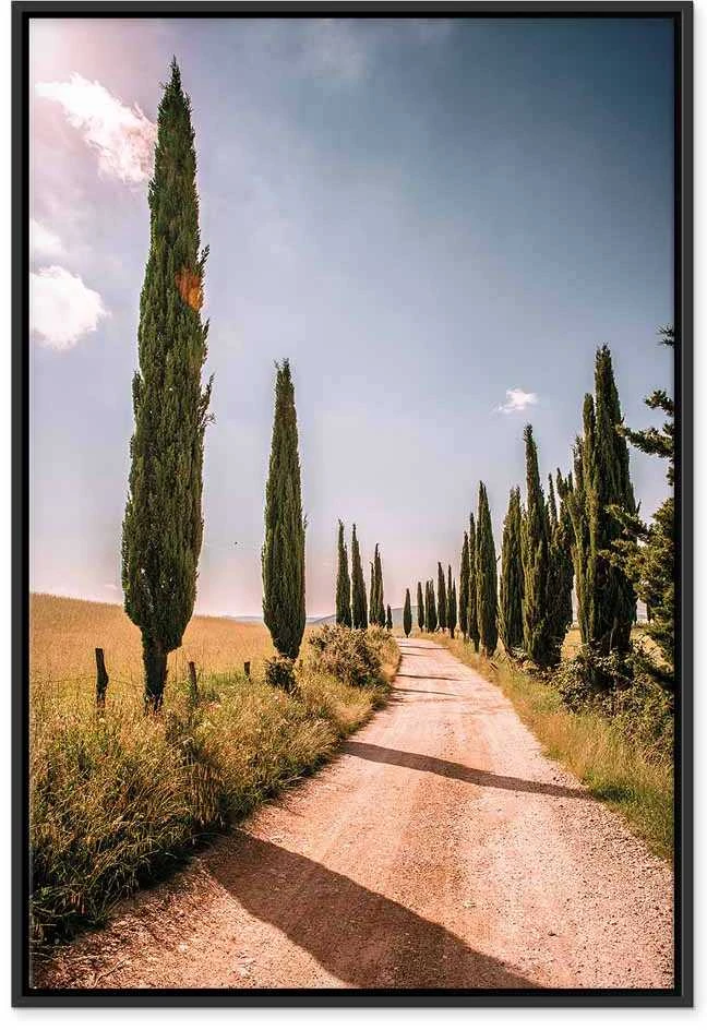 Artgeist Paveikslas - Italian cypresses (1 Part) Vertical