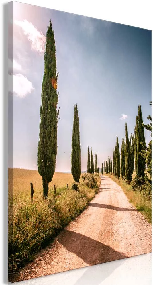 Artgeist Paveikslas - Italian cypresses (1 Part) Vertical