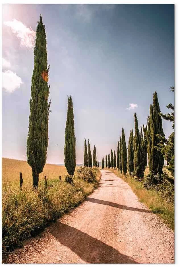Artgeist Paveikslas - Italian cypresses (1 Part) Vertical