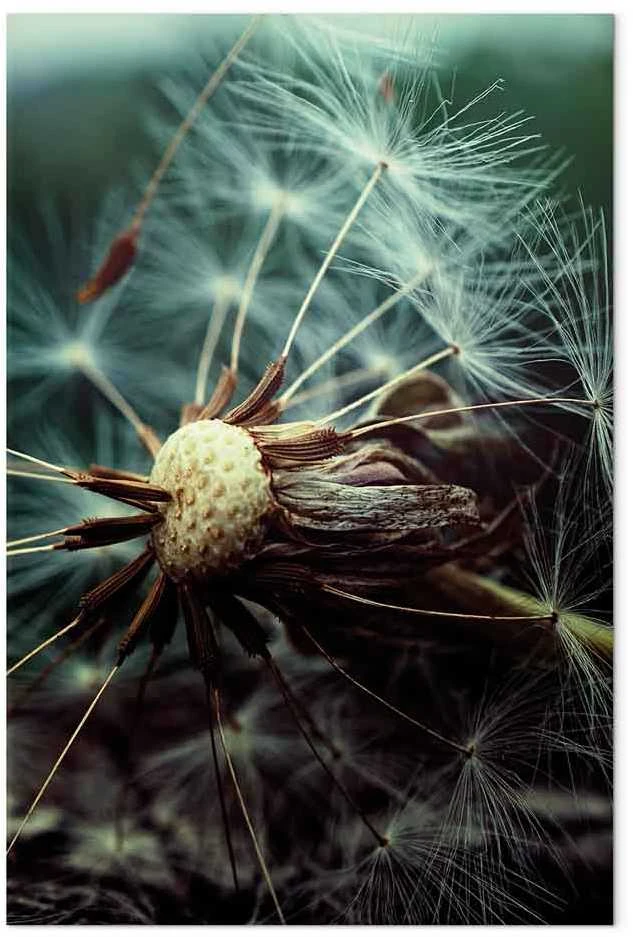 Artgeist Paveikslas - Last Hope (1 Part) Vertical
