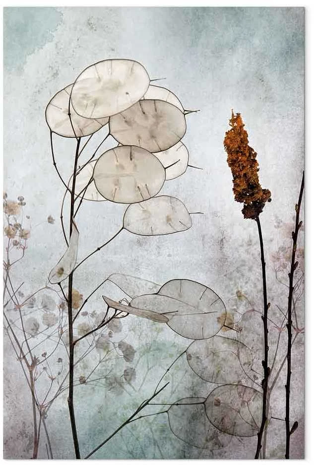 Artgeist Paveikslas - Lunaria Fruits (1 Part) Vertical