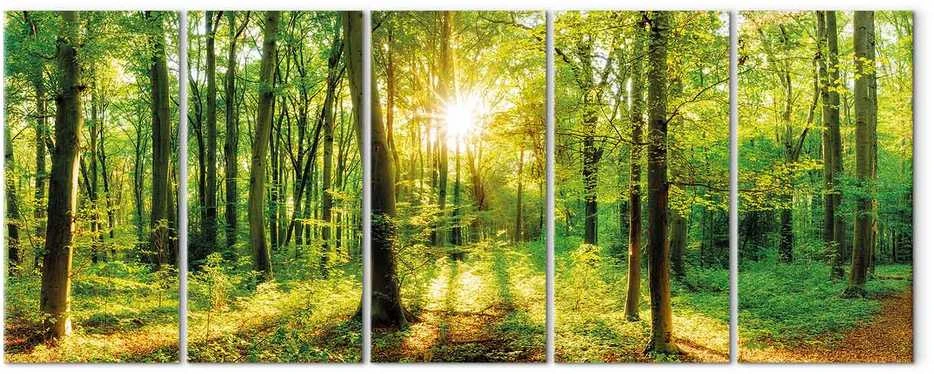 Artgeist Paveikslas - Magic Forest