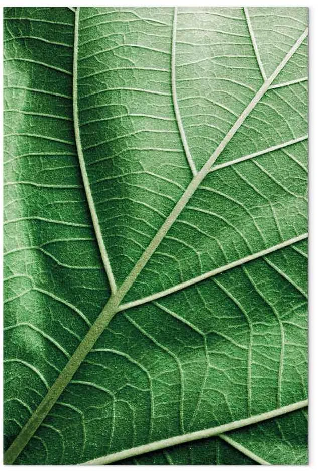 Artgeist Paveikslas - Malachite Leaf (1 Part) Vertical