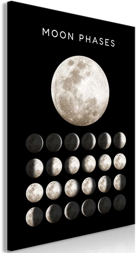 Artgeist Paveikslas - Moon Phases (1 Part) Vertical