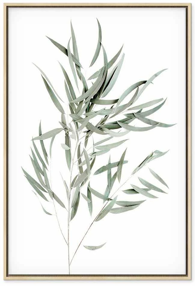 Artgeist Paveikslas - Nicholia Eucalyptus (1 Part) Vertical