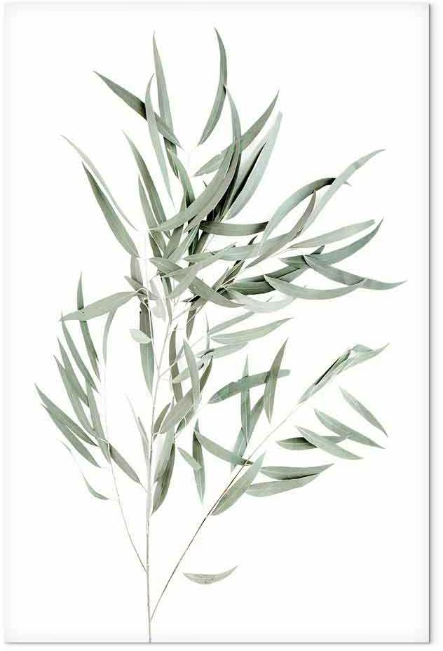 Artgeist Paveikslas - Nicholia Eucalyptus (1 Part) Vertical