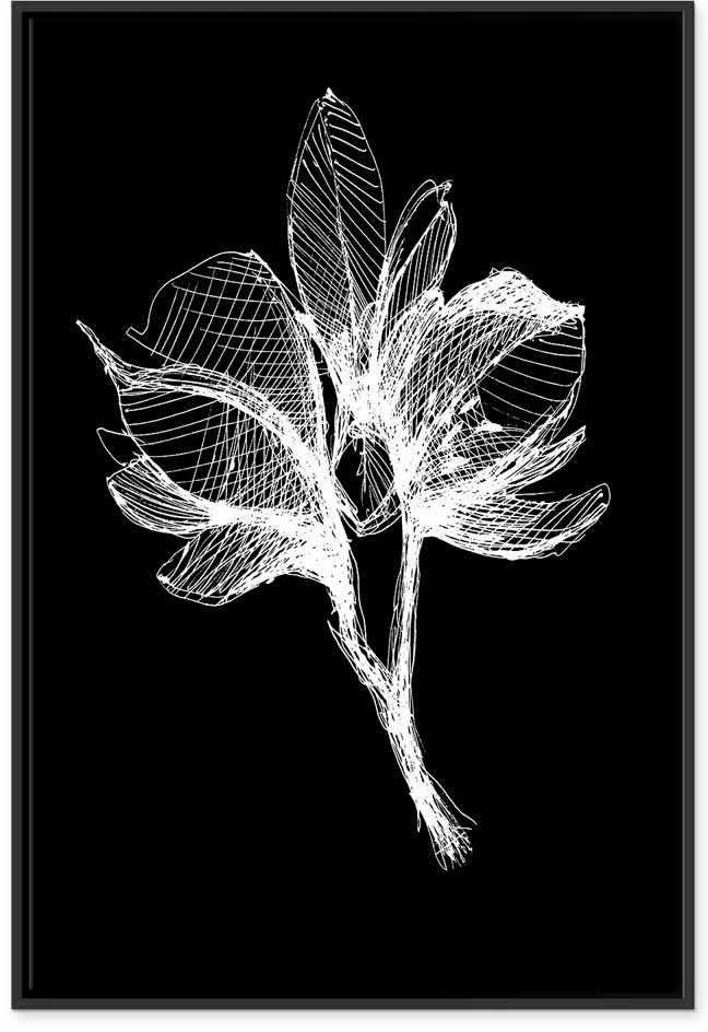 Artgeist Paveikslas - Night Flower (1 Part) Vertical