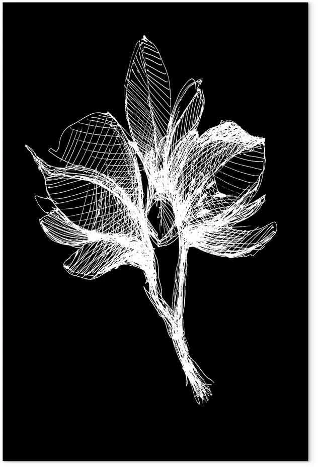 Artgeist Paveikslas - Night Flower (1 Part) Vertical