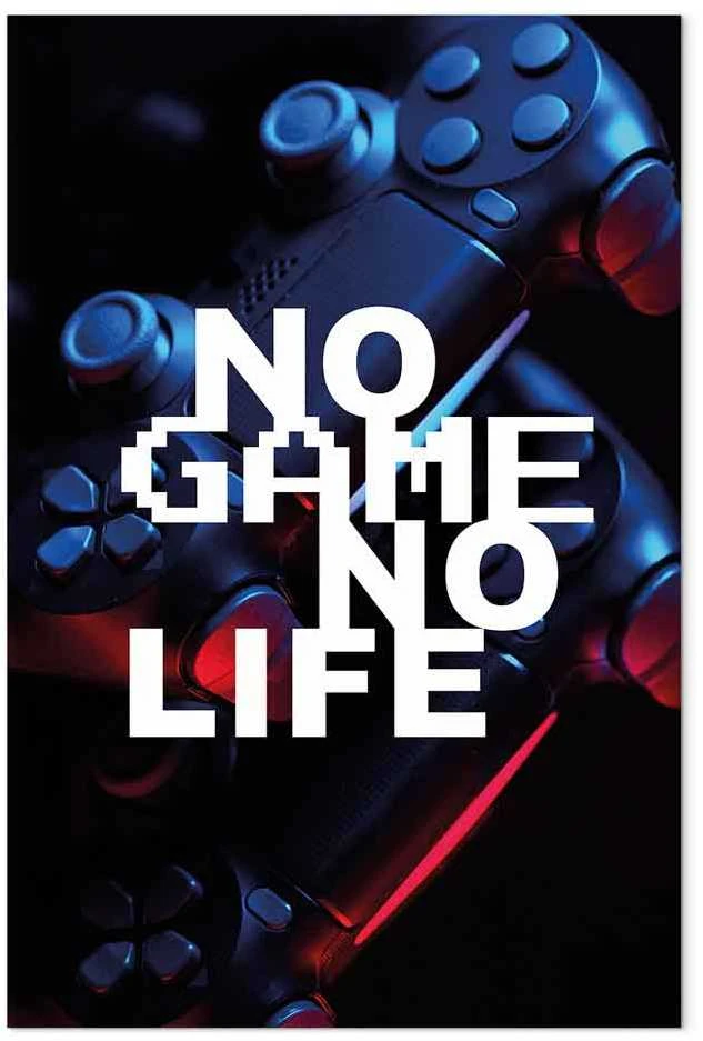 Artgeist Paveikslas - No Game No Life (1 Part) Vertical