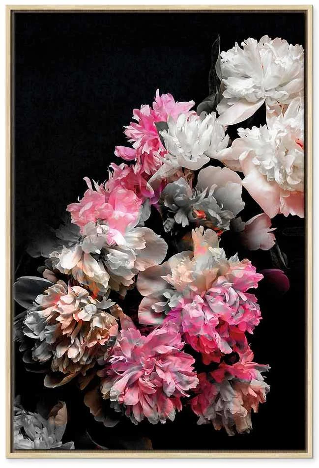 Artgeist Paveikslas - Peony Charm (1-part) - Colorful Bouquet on Juodas Background