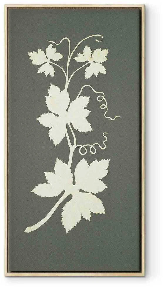Artgeist Paveikslas - Philipp Otto Runge – Hop plant