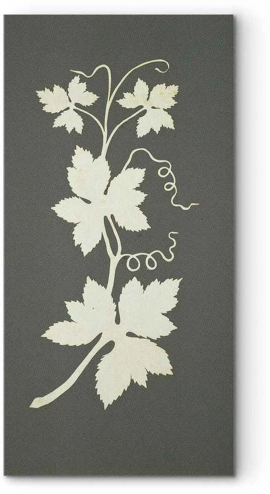 Artgeist Paveikslas - Philipp Otto Runge – Hop plant