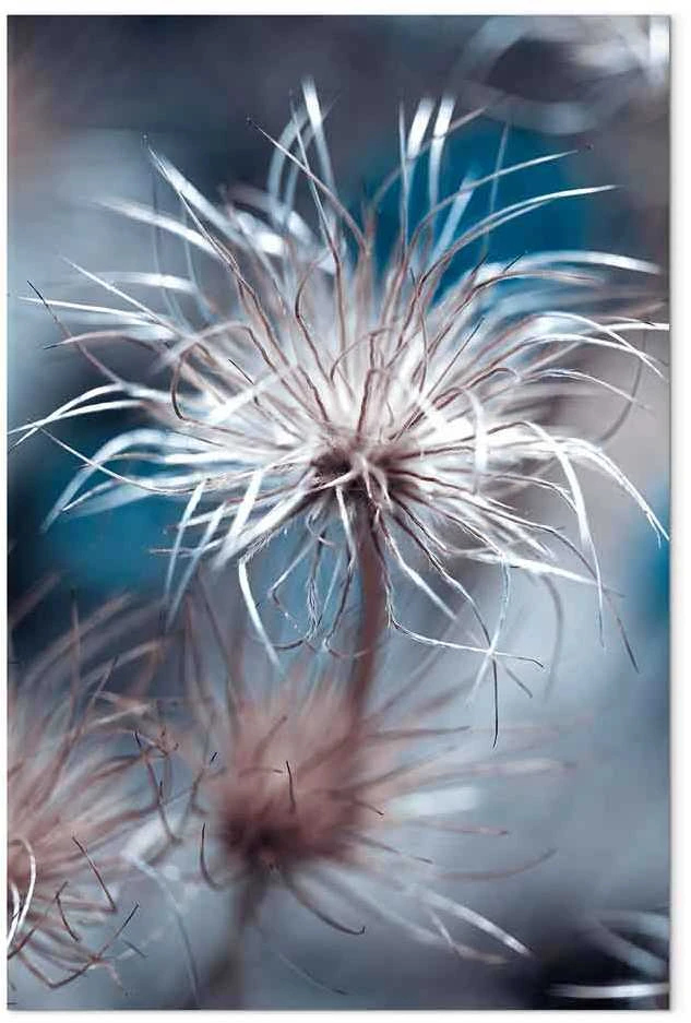 Artgeist Paveikslas - Plant in Blues (1 Part) Vertical