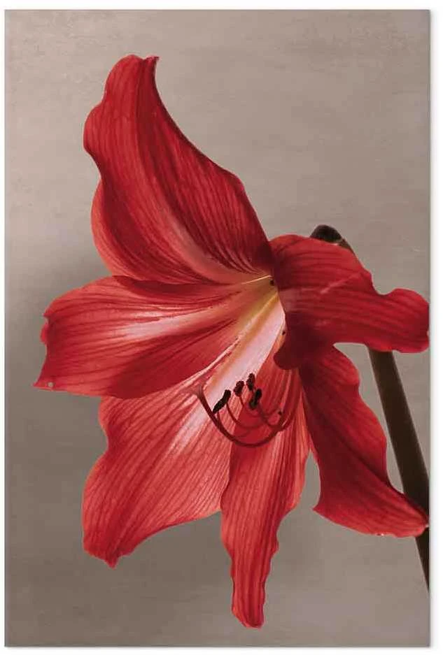 Artgeist Paveikslas - Raudona Flower (1 Part) Vertical