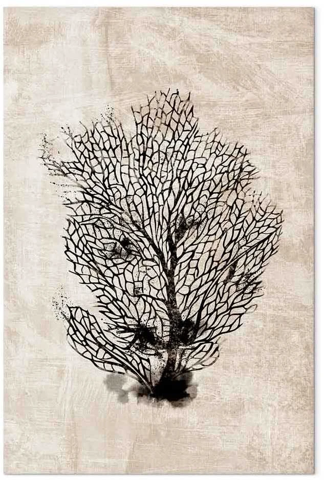 Artgeist Paveikslas - Sea Fan (1 Part) Vertical