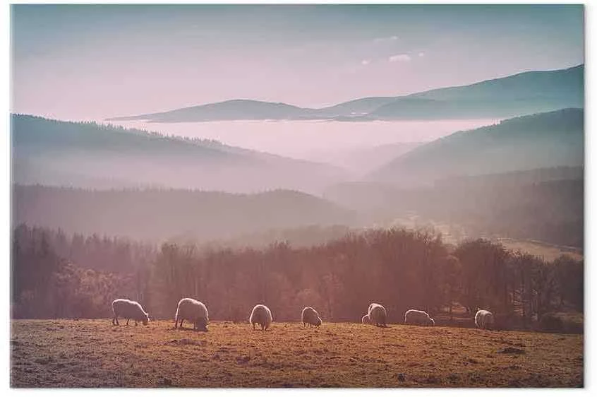 Artgeist Paveikslas - Sheep in Mountain Landscape (1-part) - Animals in Nature